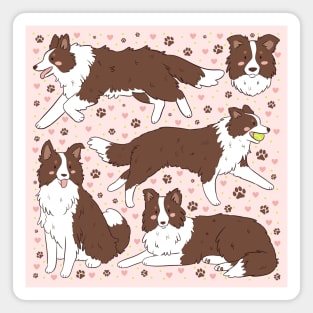 Cute brown border collie dog pattern Magnet